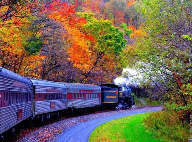 foliage train ride